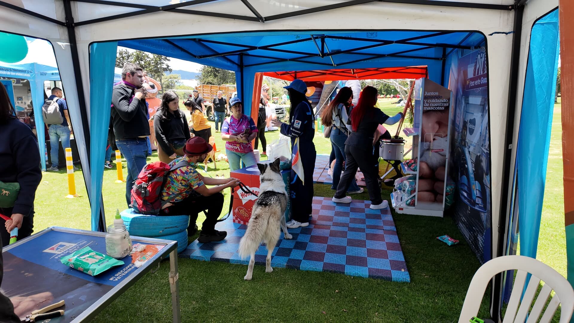 Familias y mascotas en la carpa de Gabrica