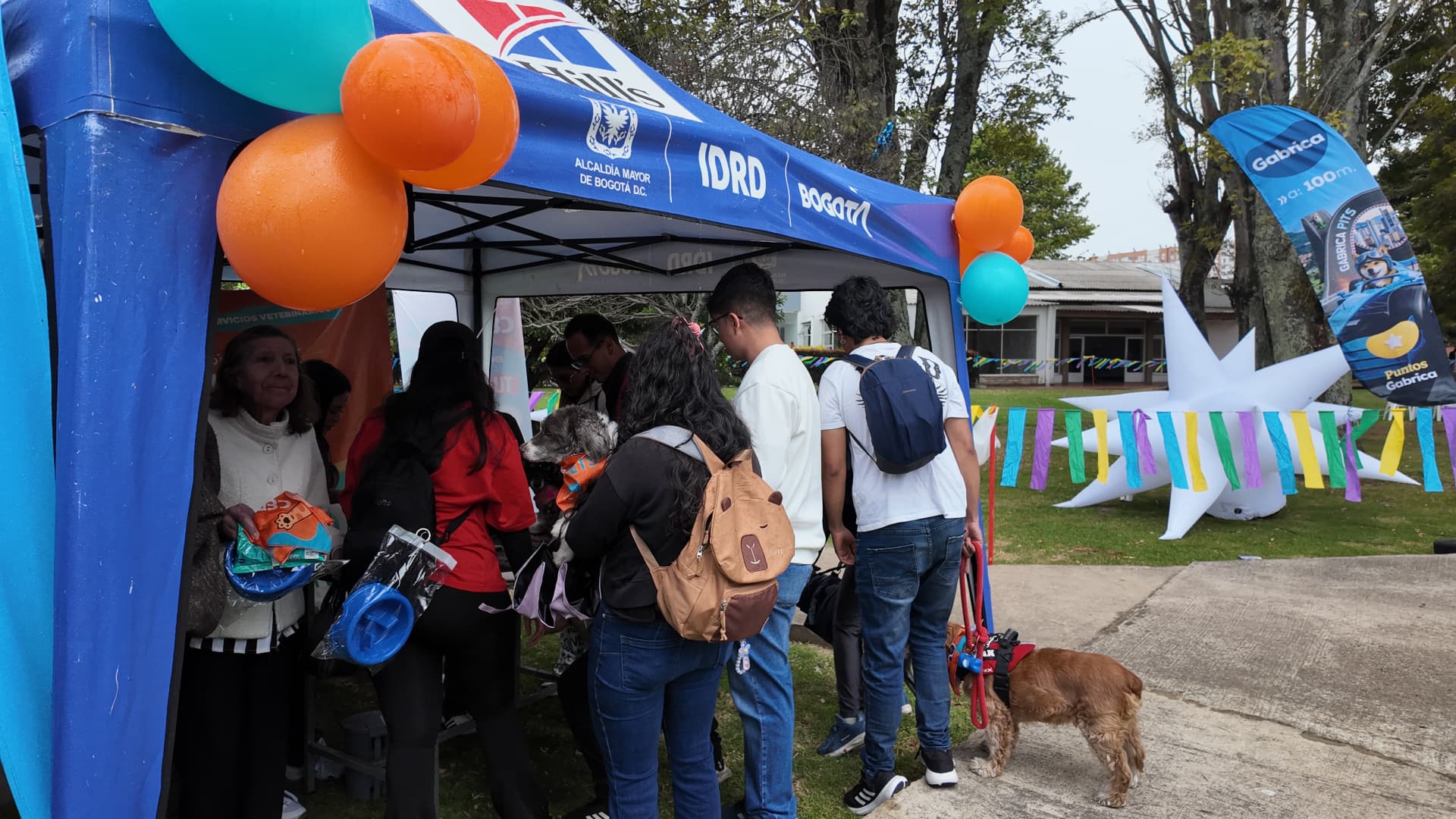 Activación de Gabrica al aire libre